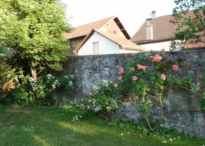 Welcoming House In + Free Parking *