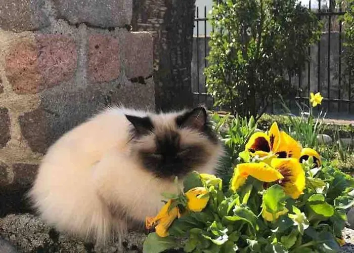 Welcoming House In + Free Parking