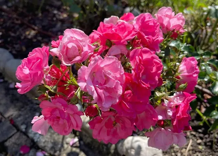 Welcoming House In + Free Parking